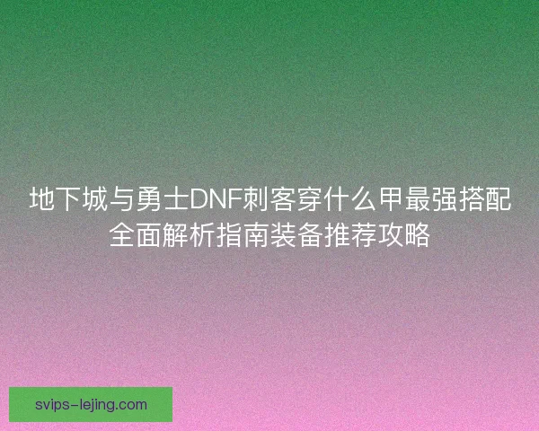 地下城与勇士DNF刺客穿什么甲最强搭配全面解析指南装备推荐攻略